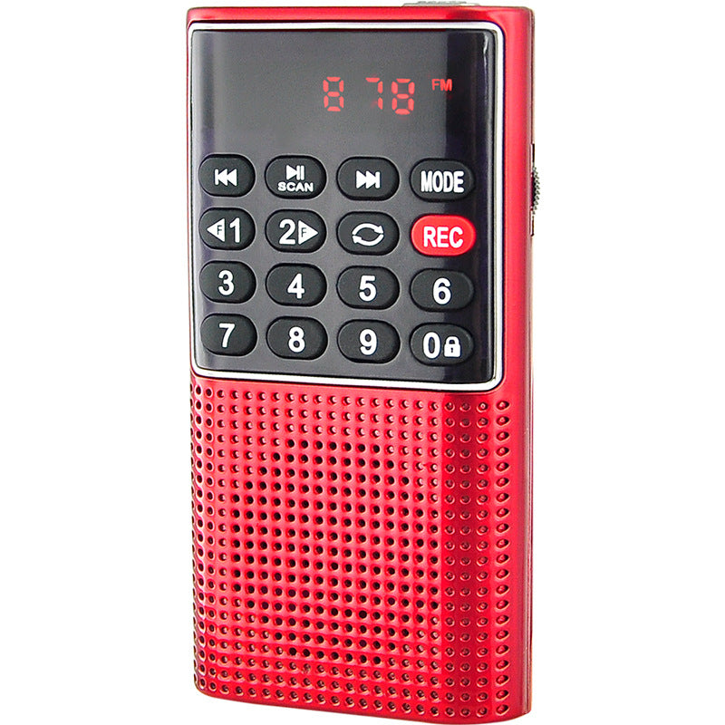 Mini Radio numérique FM portable