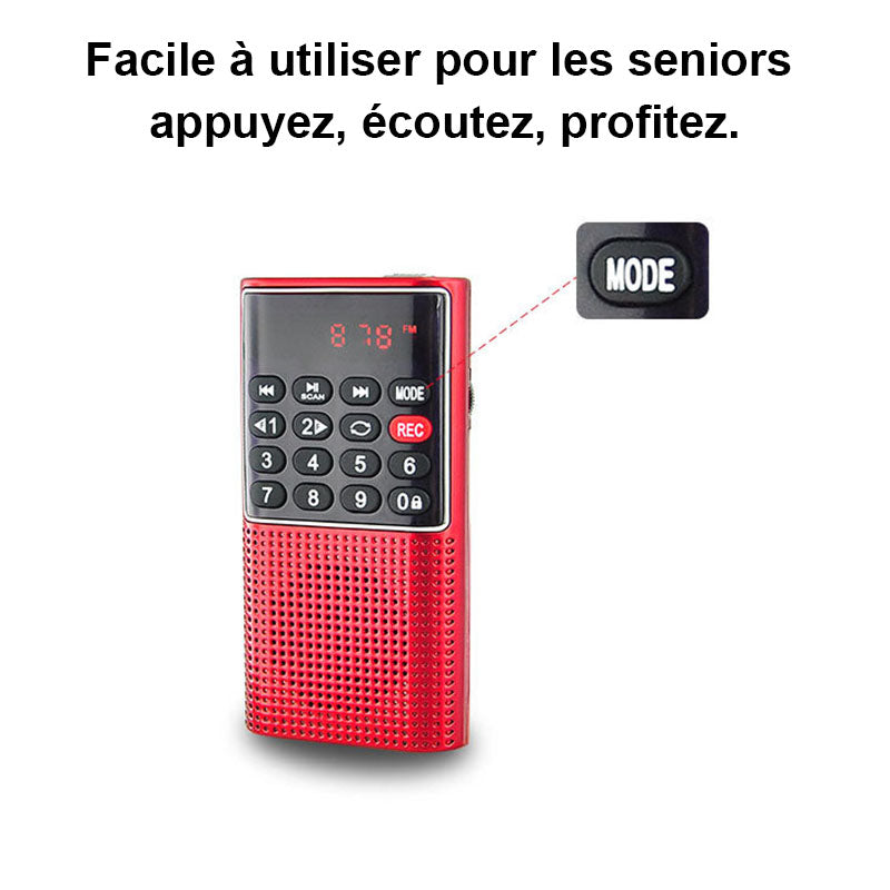 Mini Radio numérique FM portable