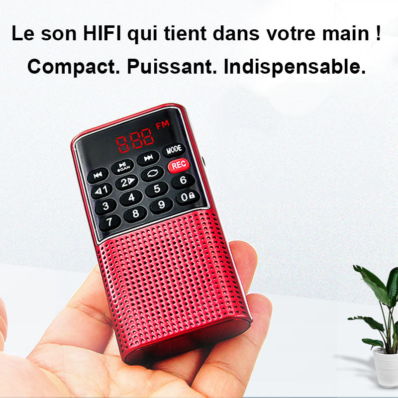 Mini Radio numérique FM portable