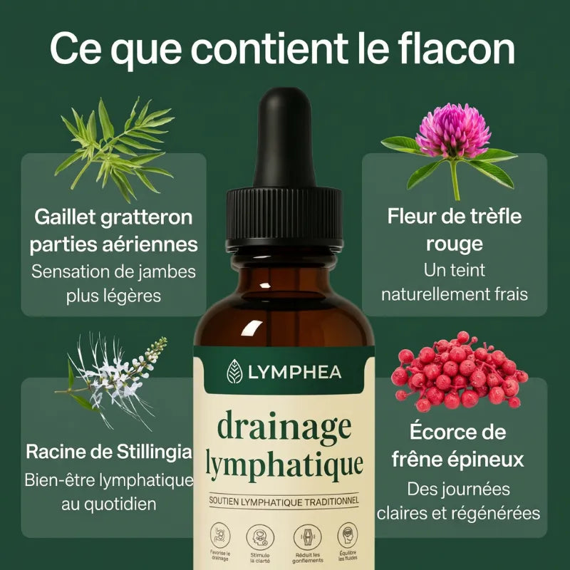 Lymphea – Drainage Lymphatique