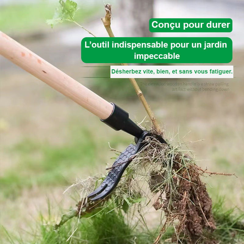 Outil d'arrachage de mauvaises herbes