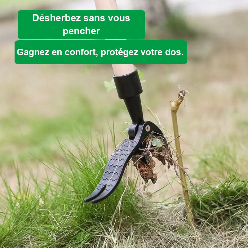 Outil d'arrachage de mauvaises herbes
