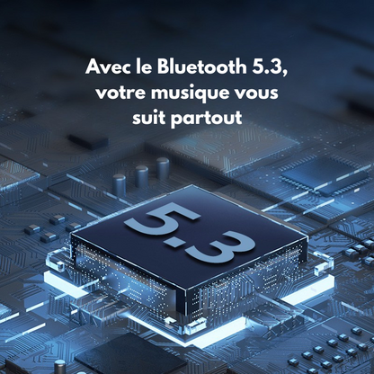 haut-parleurs portables Bluetooth