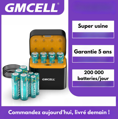Lot de 8 batteries au lithium rechargeables